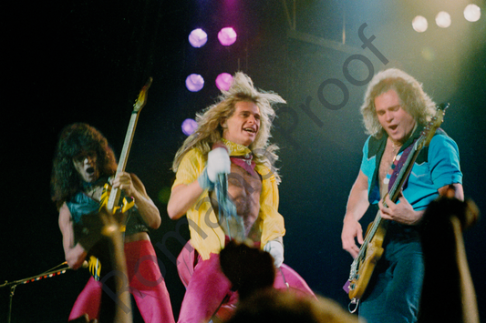 Van Halen Live